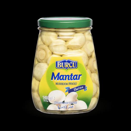 Bütün Mantar